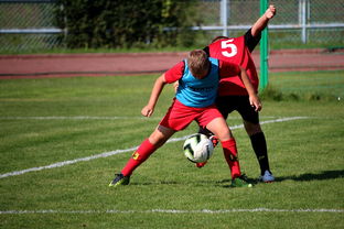 中国米兰官方-篮球运动员训练负荷监控系统开发与应用研究，篮球运动员运动负荷量